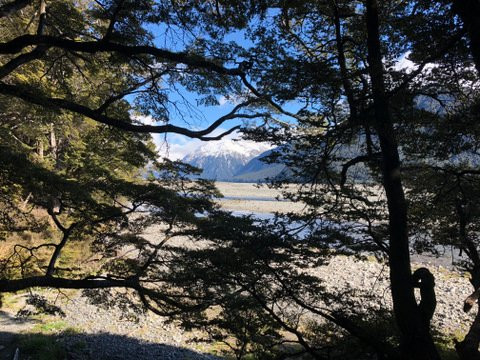 O'Malleys Track-亚瑟隘口国家公园必去景点