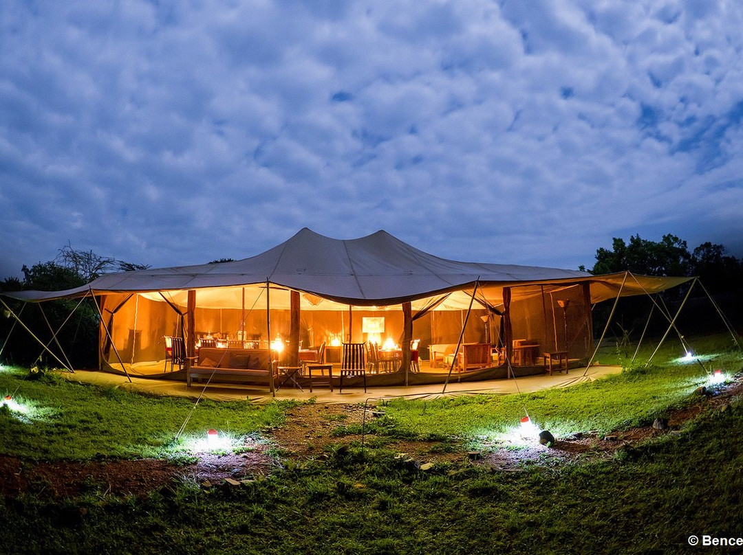 Porini Lion Camp