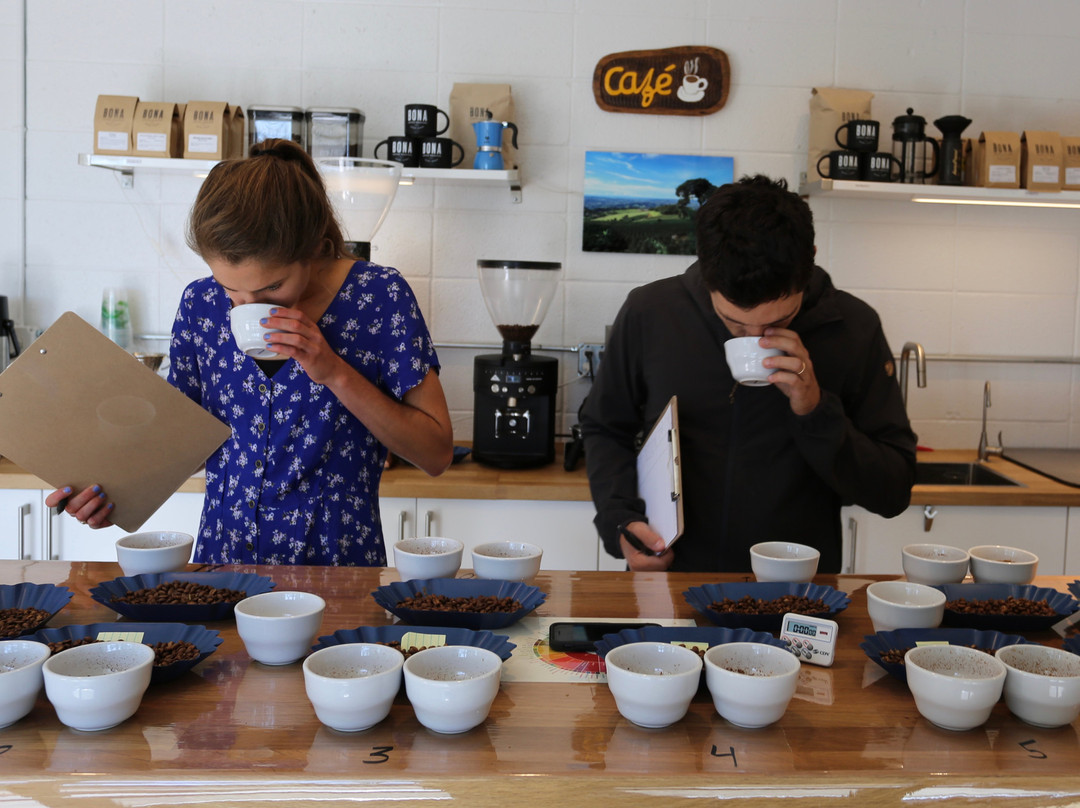 Bona Coffee Roasters-博尔德必去景点