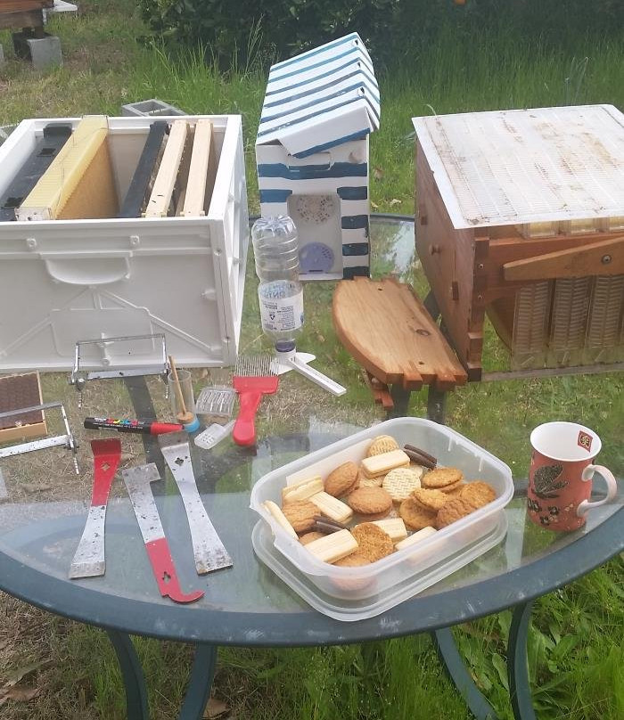 Beekeeping Class Newcastle - Hands On景点图片