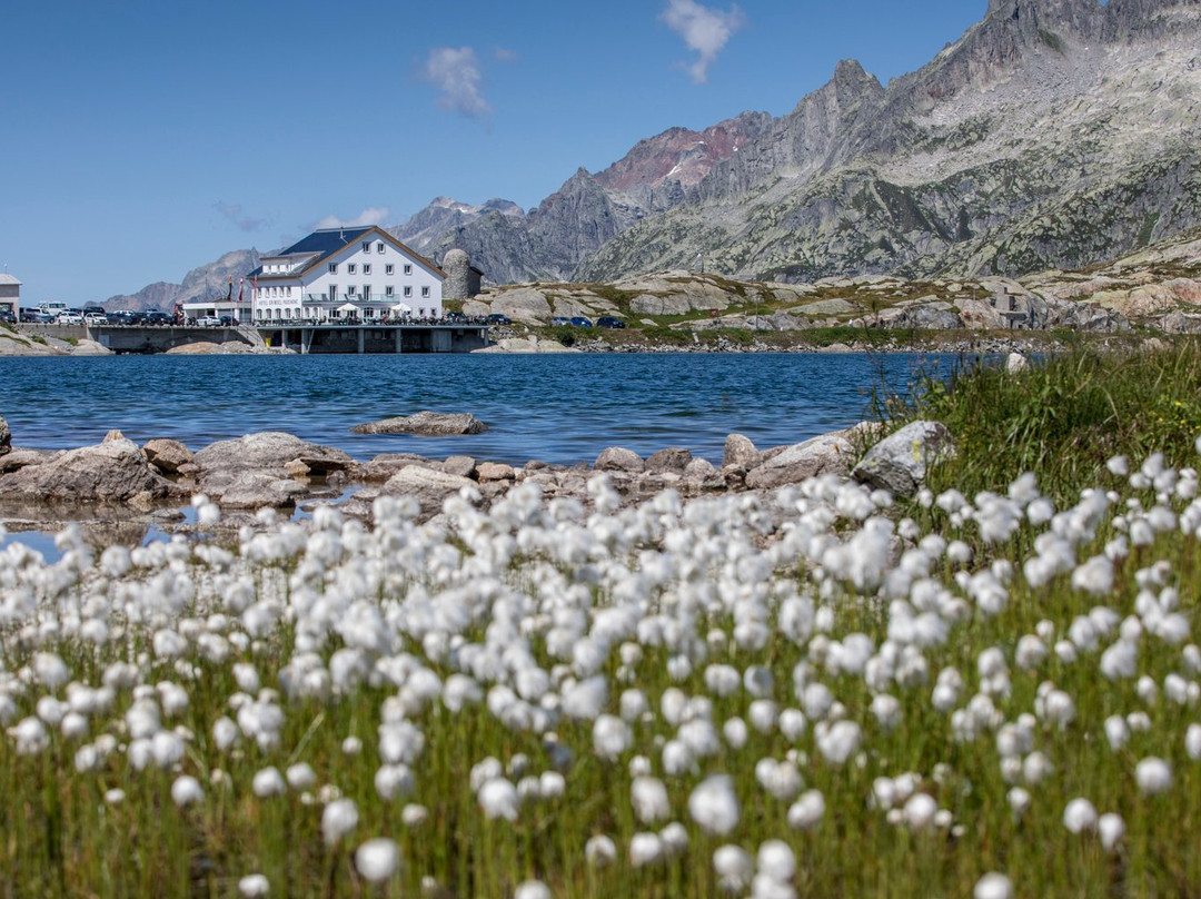Hotel Grimsel Passhohe主图