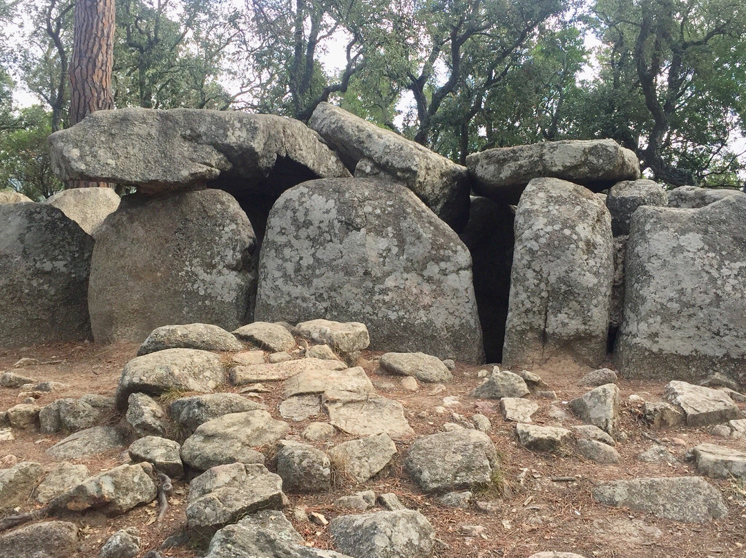 Cova d' en Daina景点图片