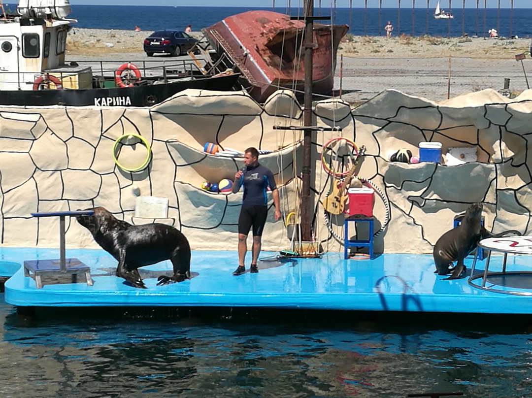 Anapa Dolphinarium in Bolshoye Utrishe-Sukko必去景点