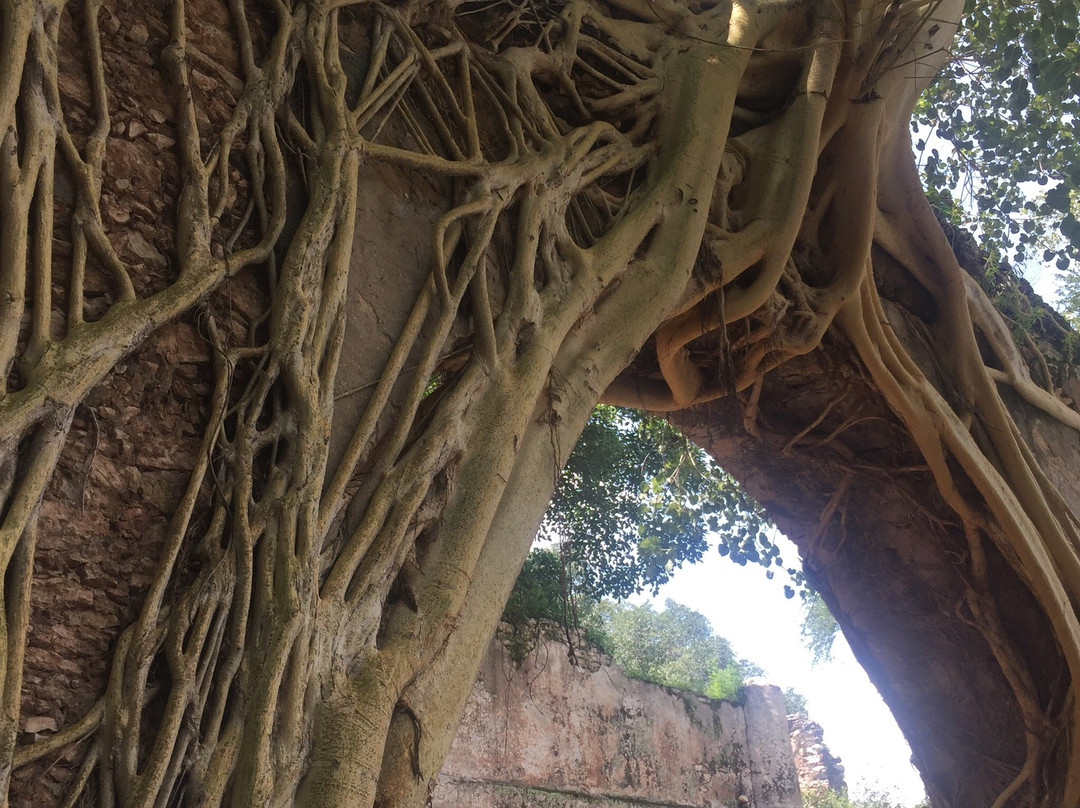 Ex Hacienda de Ixtoluca景点图片