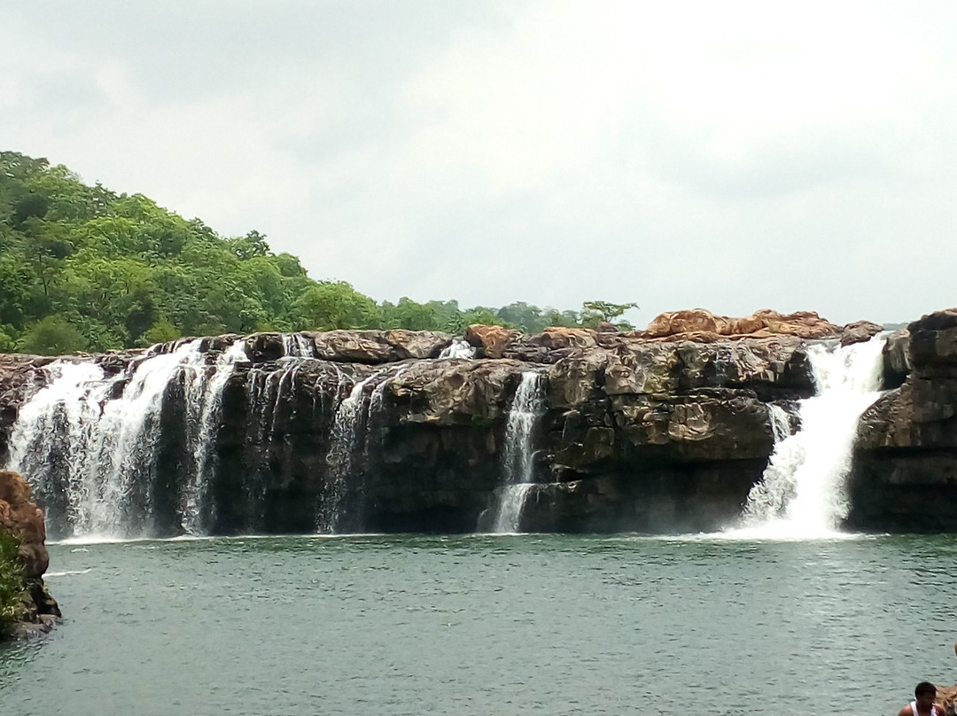 Eturnagaram Wildlife Sanctuary景点图片
