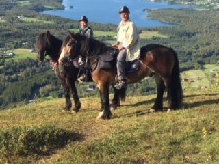 Viking Horses Norway景点图片