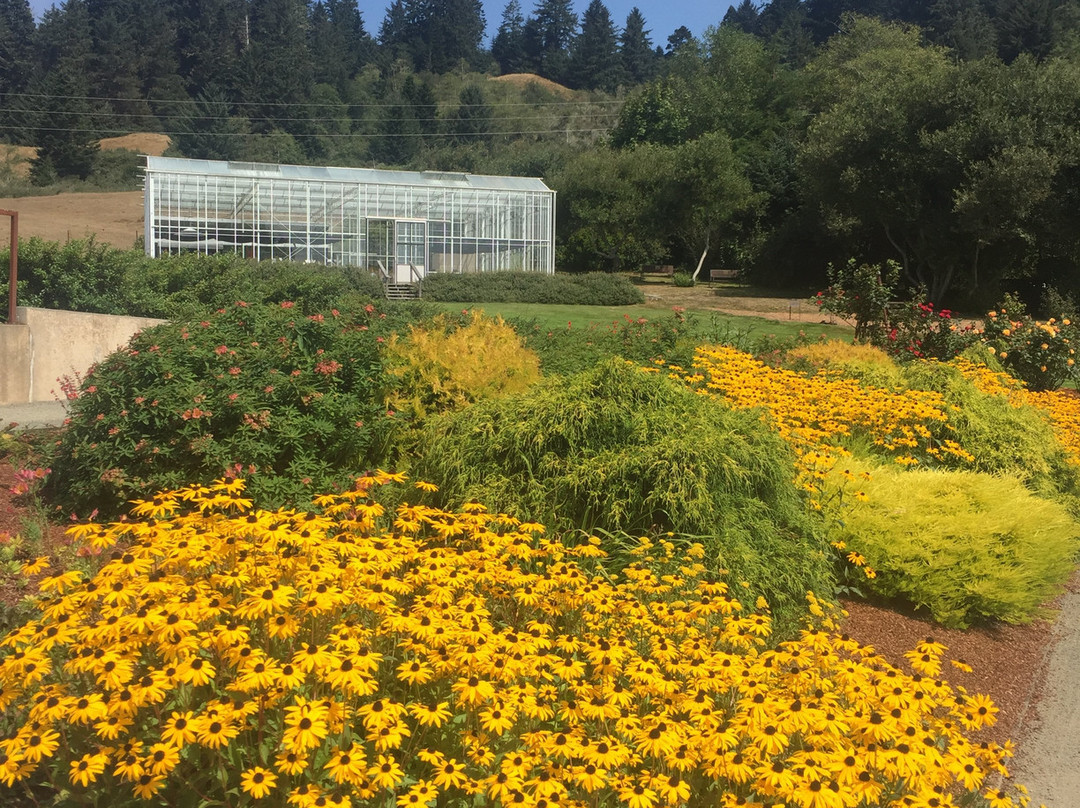 Humboldt Botanical Garden景点图片