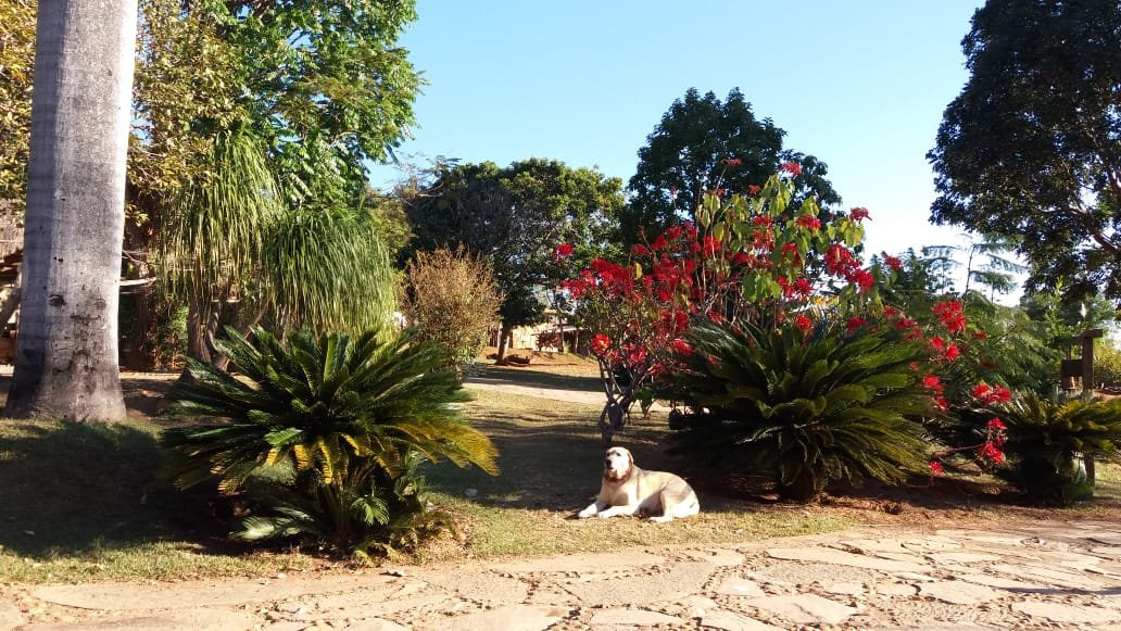 Rancho Cipo Pousada主图