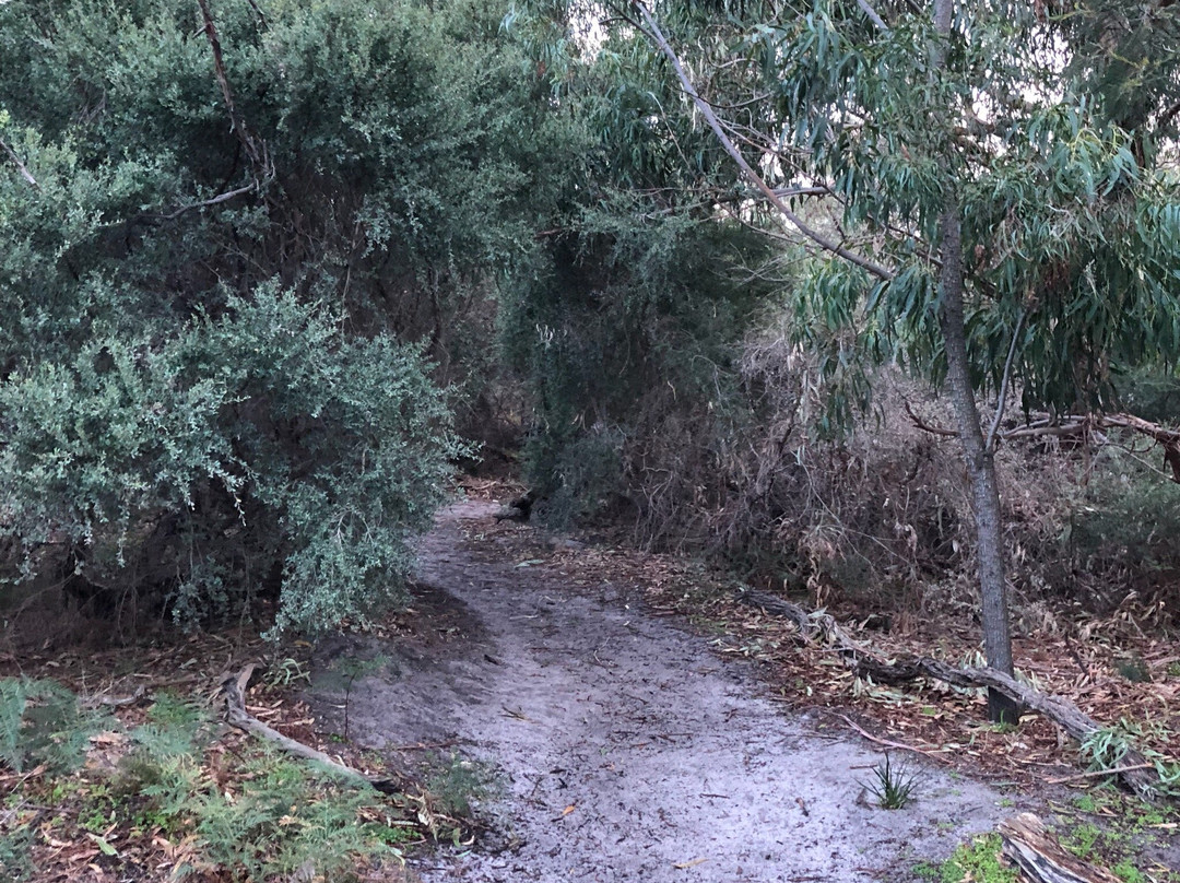 George Street Reserve-Sandringham必去景点