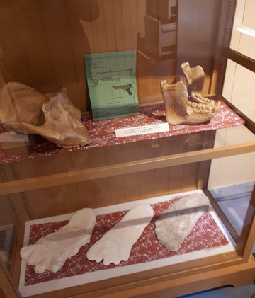 Kilby Historic Site-Harrison Mills必去景点