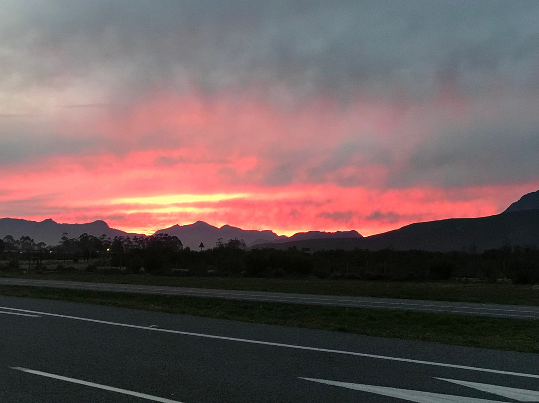 海豚湾大酒店主图