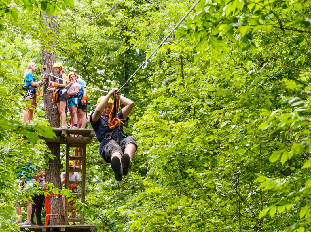 Markin Farms Zipline Adventures-West Liberty必去景点