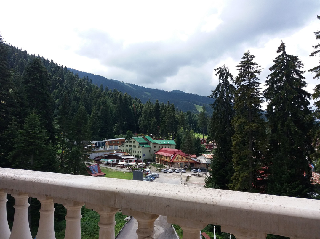 费斯塔冬宫酒店主图