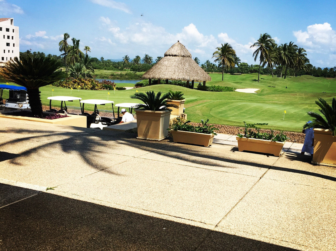 Hotel Tres Vidas Acapulco主图