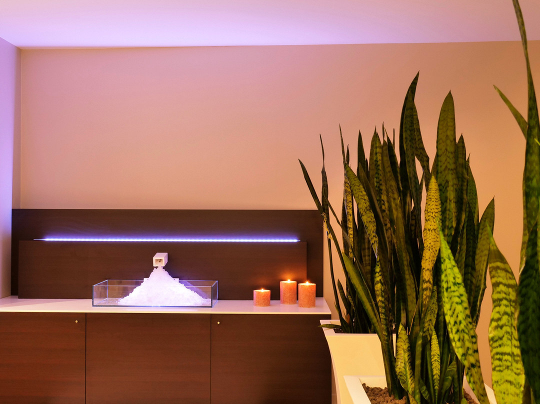 Residenza dei Limoni Spa-Toscolano-Maderno必去景点