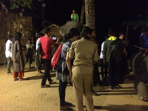 Elephant Show-科克斯巴扎尔必去景点