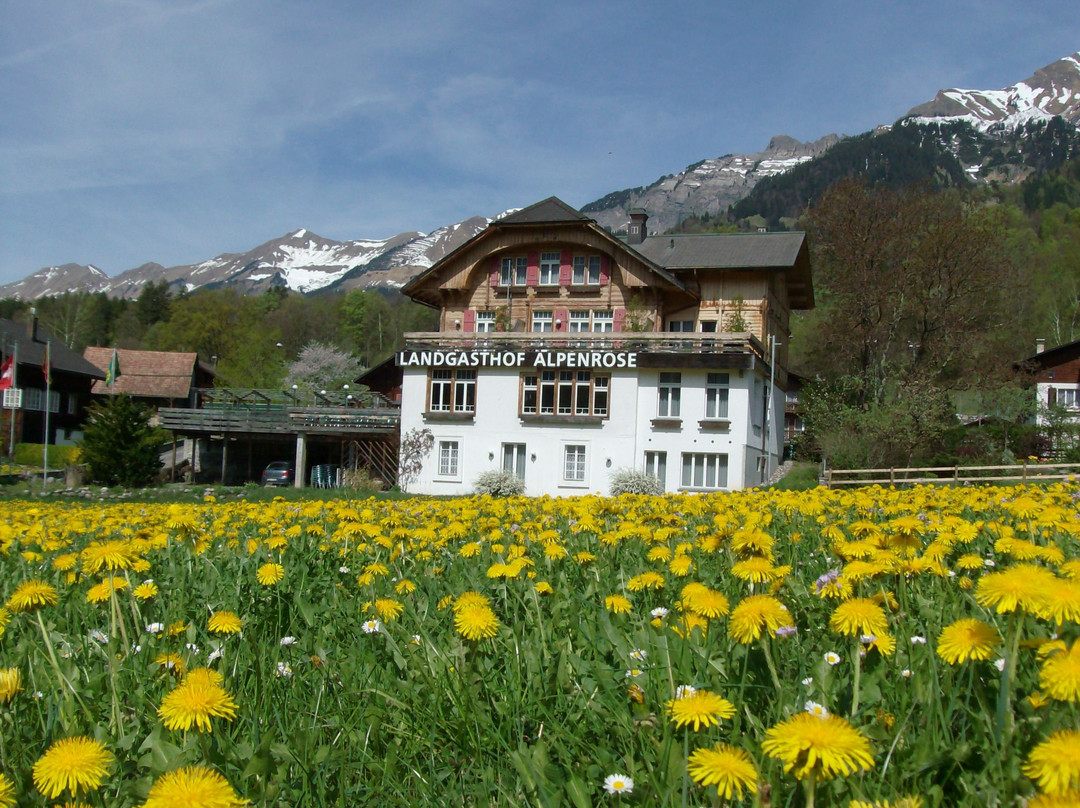 Hotel Alpenrose beim Ballenberg主图