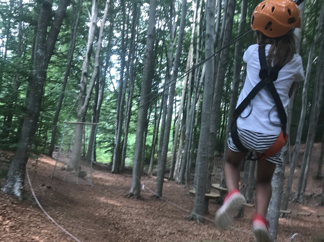parco avventura SpiderPark-Marliana必去景点