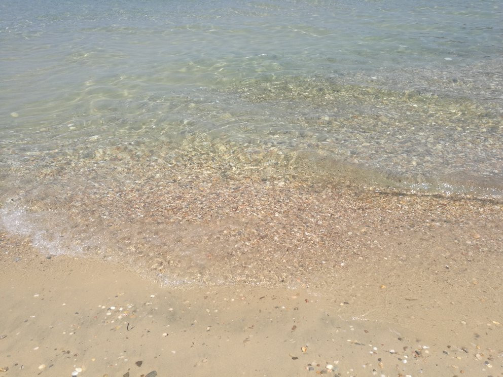 Dolphins House主图