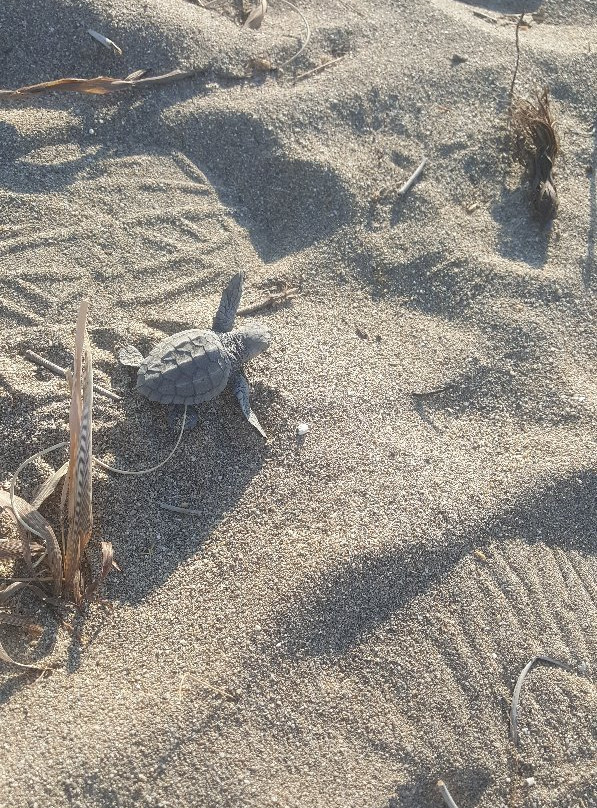 İkonyum Butik Otel主图