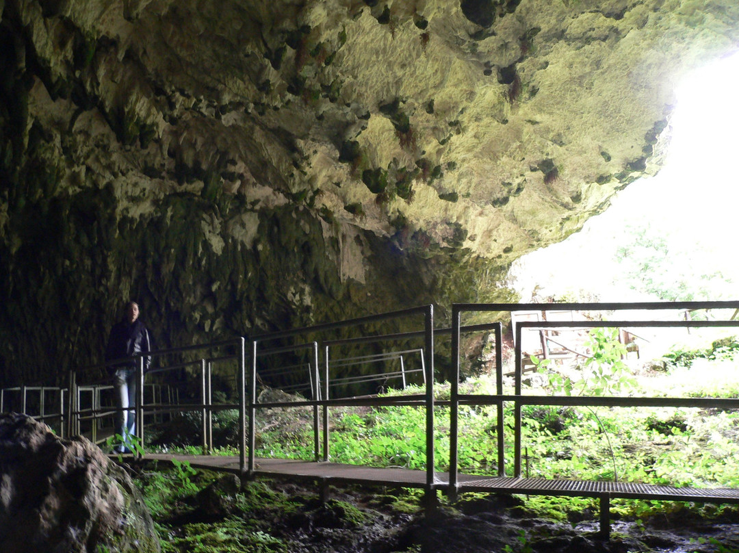 Grotta del Colle景点图片