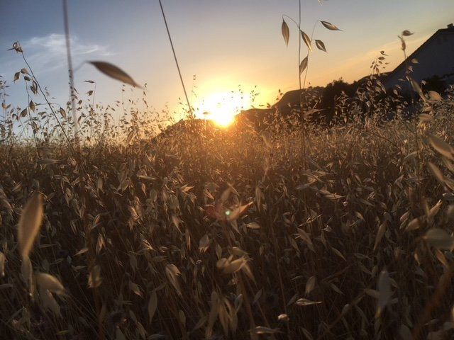 Contra Loma Regional Park-安条克必去景点