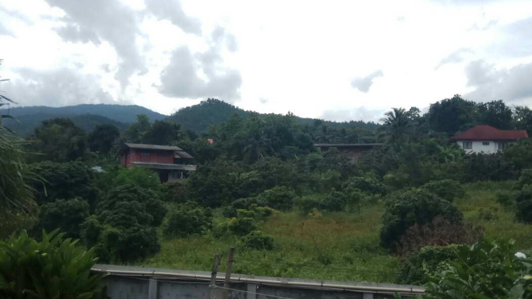 Mae Klang Banyen Hill主图
