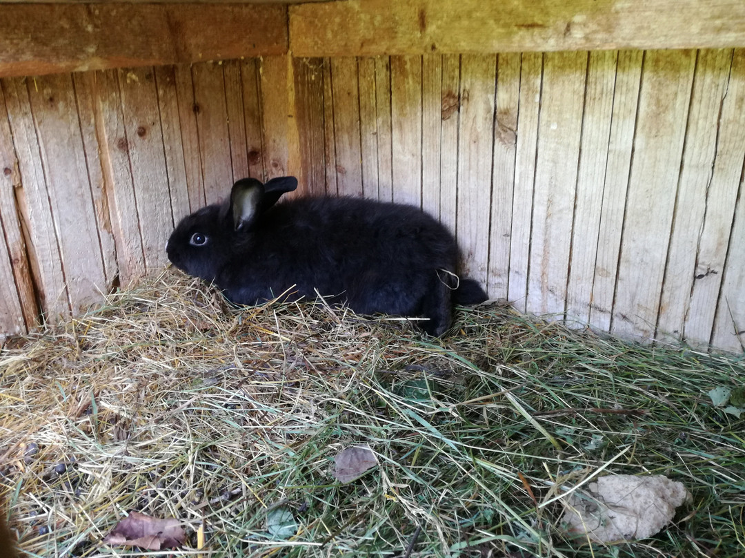 Panoramahotel Stocker主图