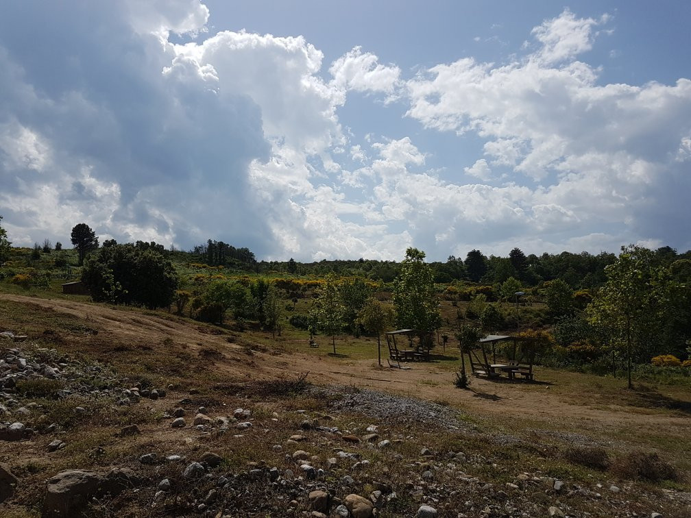 Giganti di Pietra di Campana-Campana必去景点