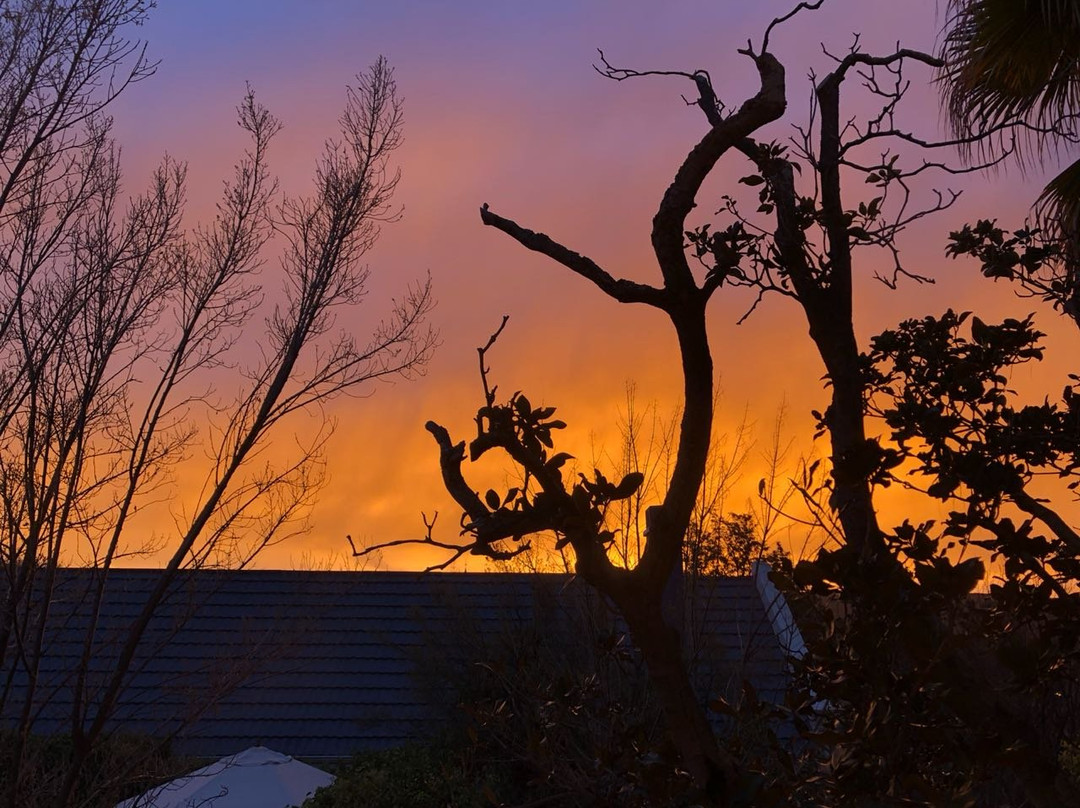 Karoo Art Hotel主图