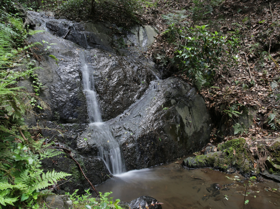 Narutaki Falls景点图片