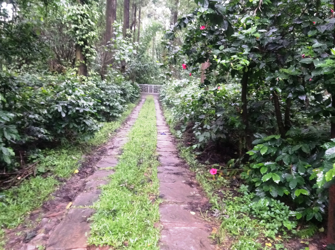 Saphali Estate Homestay主图