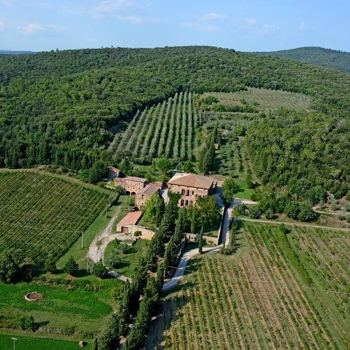 Villa Buoninsegna-官方