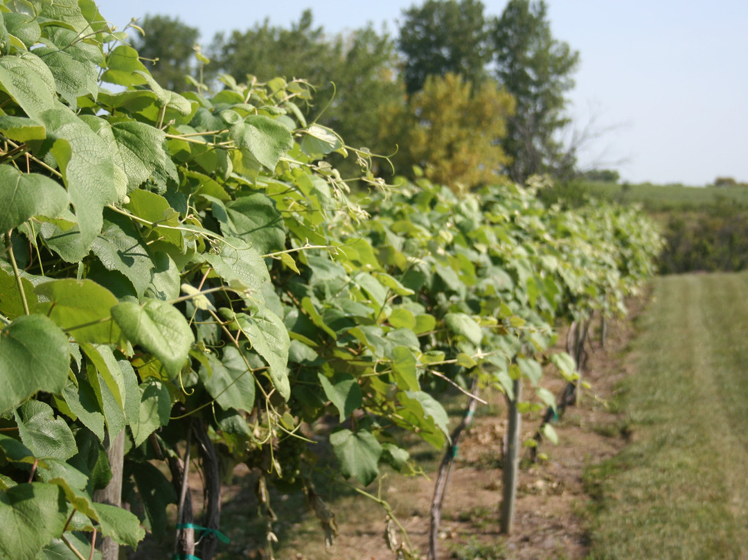 Two Saints Winery-Saint Charles必去景点