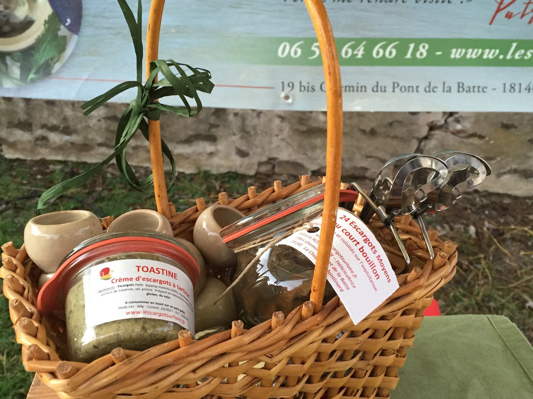 L'Escargot sur Loire景点图片