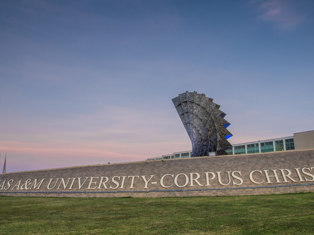 Texas A&M Corpus Christi-科珀斯克里斯蒂市必去景点