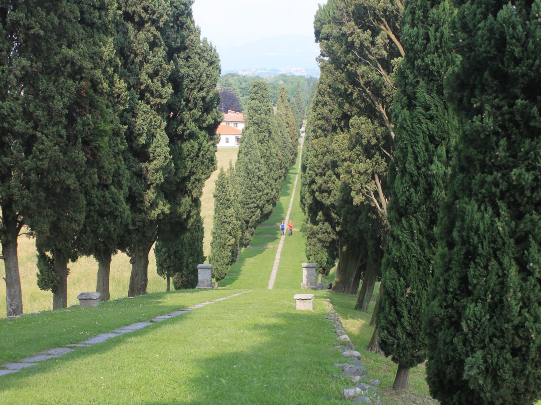 Viale Dei Cipressi景点图片