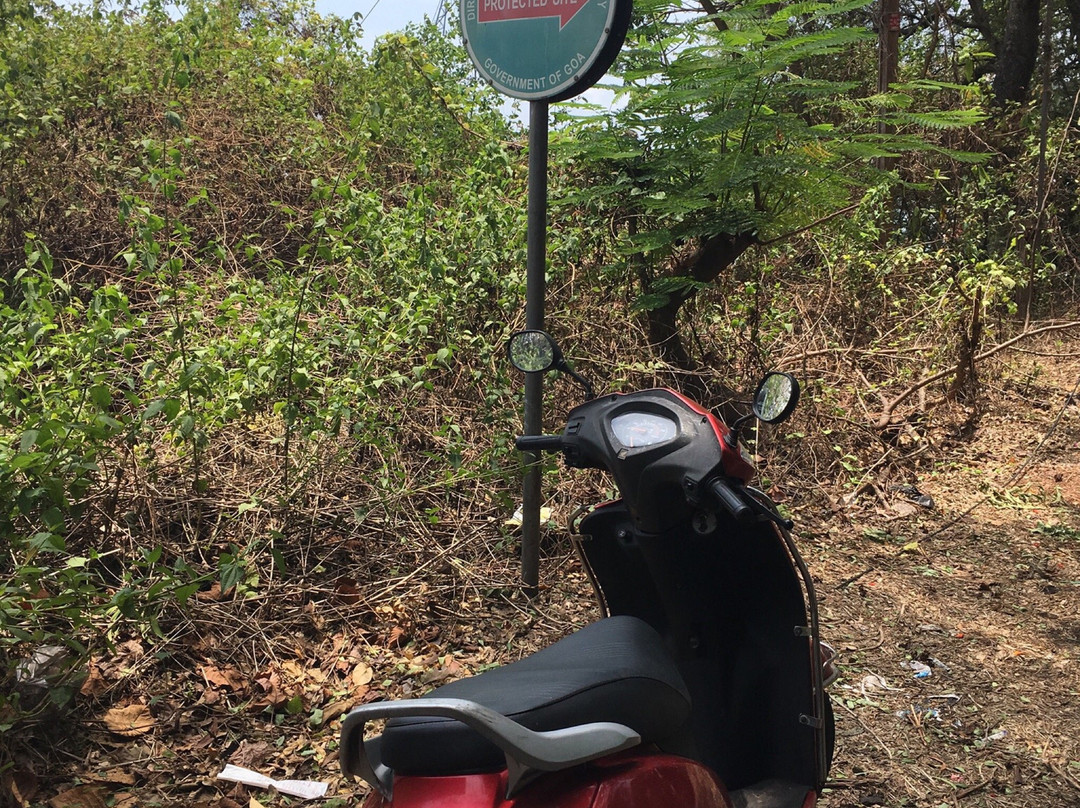 Mormugao Fort-Mormugao必去景点