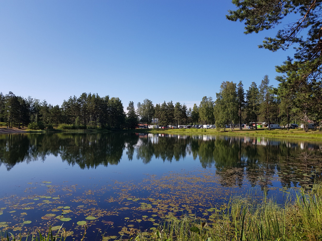 Vivstavarvstjärns Camping