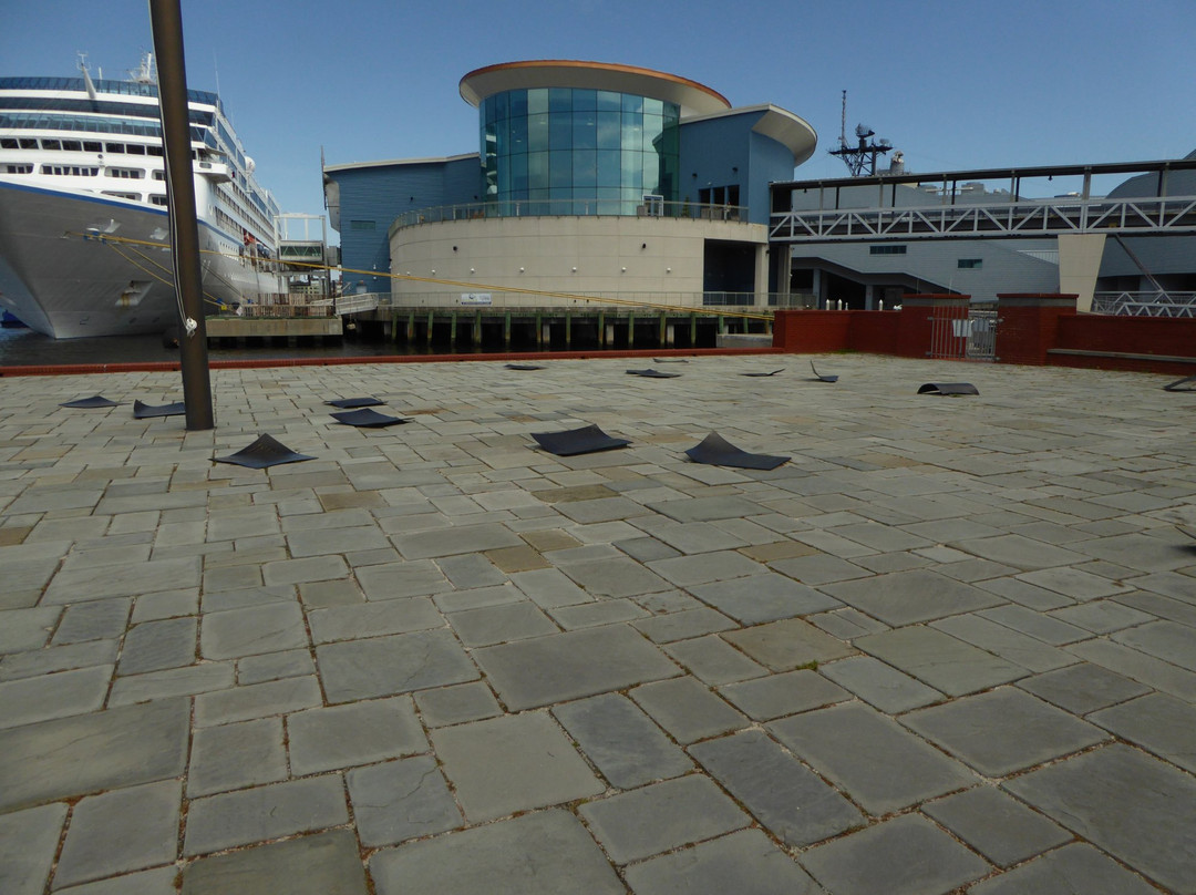 Armed Forces Memorial-诺福克必去景点