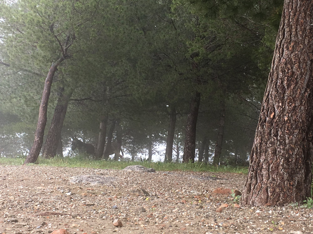 Castillo de Lizar-弗里希利亚纳必去景点