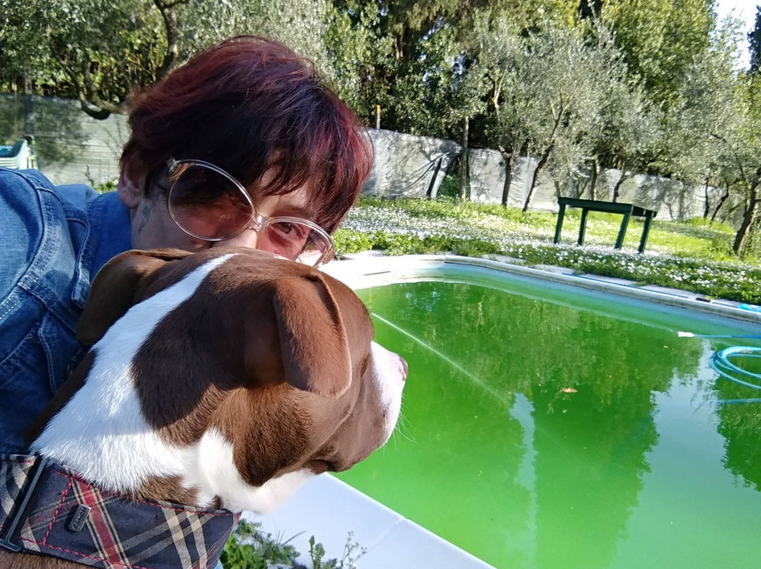 B&B La Stregatta主图