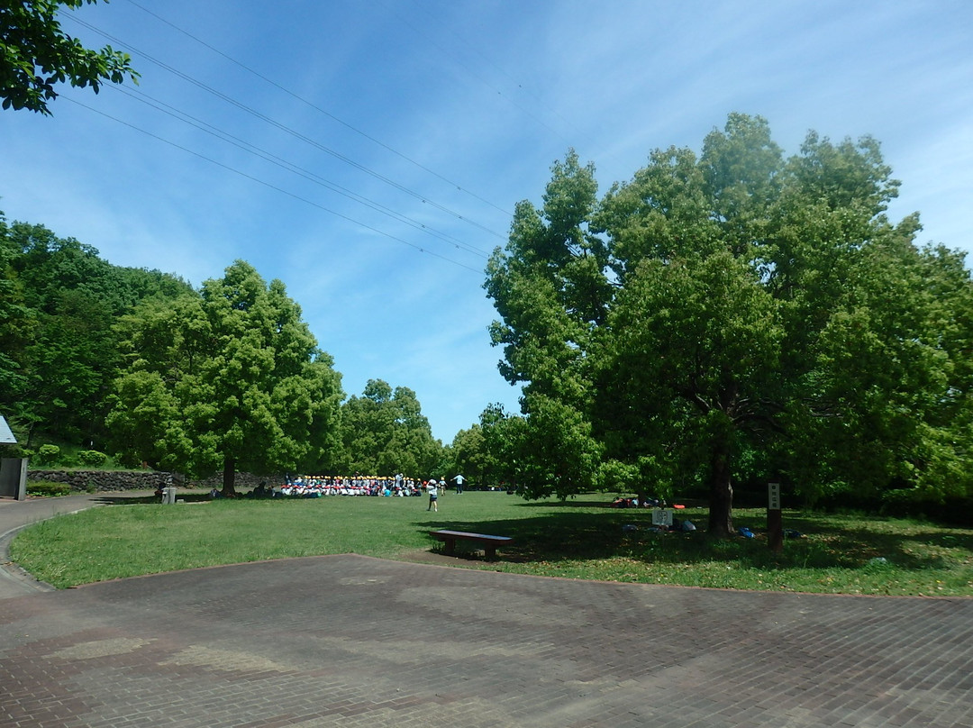 Oyamadairi Park-町田市必去景点