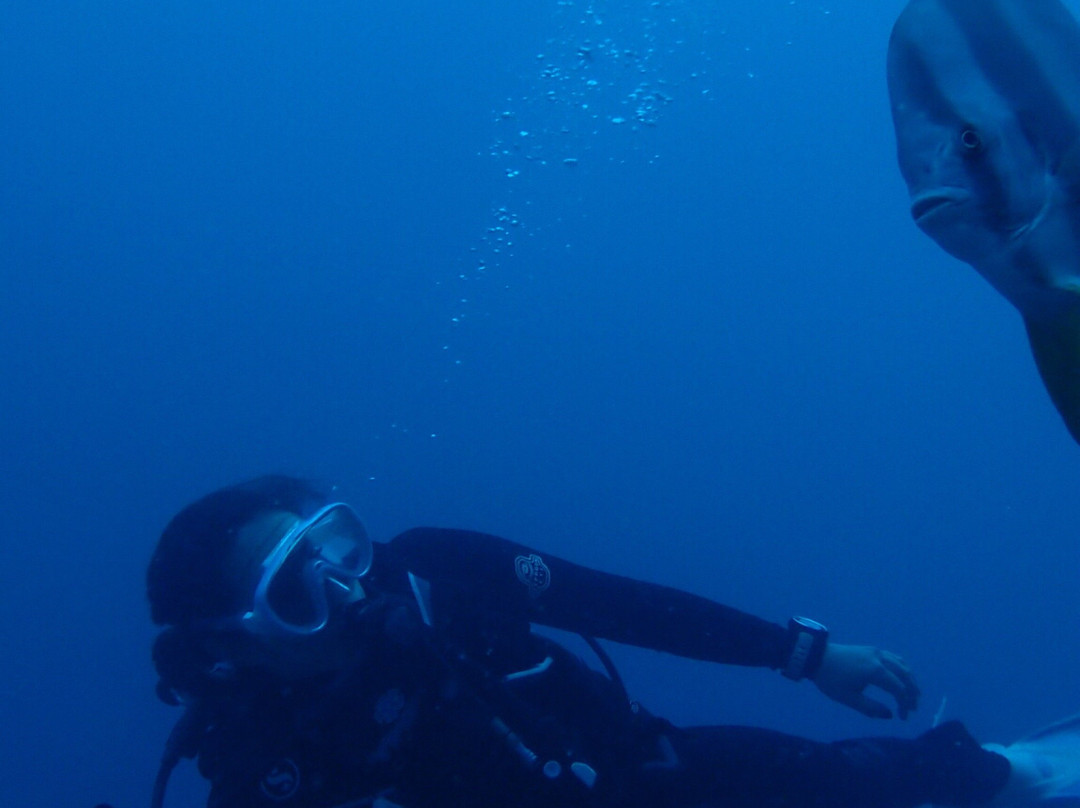 DiveOceanus-欢乐岛必去景点