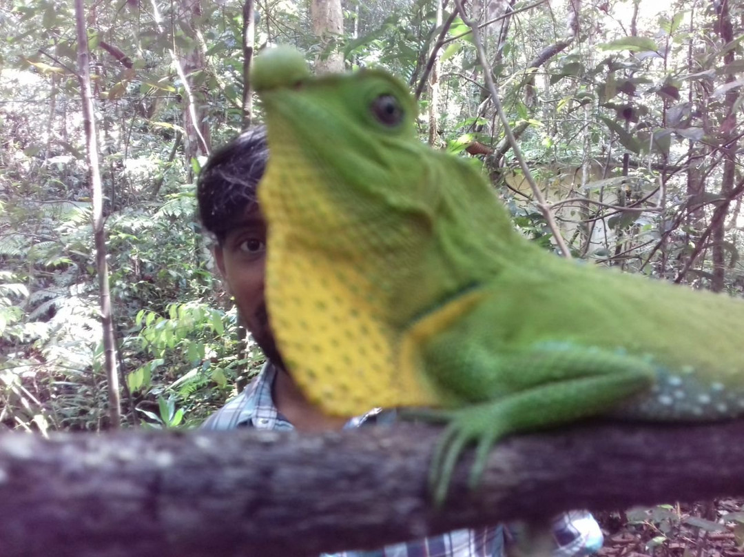 Holiday Driver-科伦坡必去景点