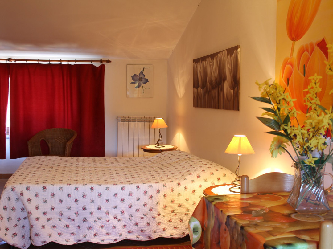 Bed and Breakfast Viterbo Vecchio Olmo主图