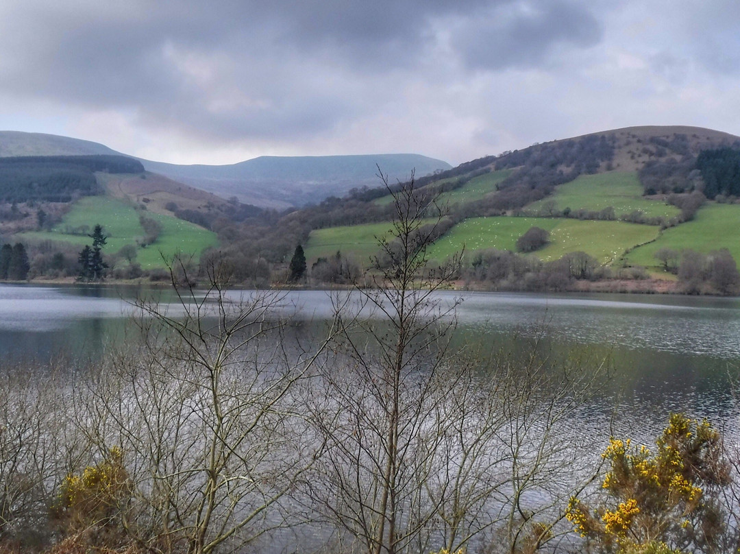 Talybont Reservoir景点图片