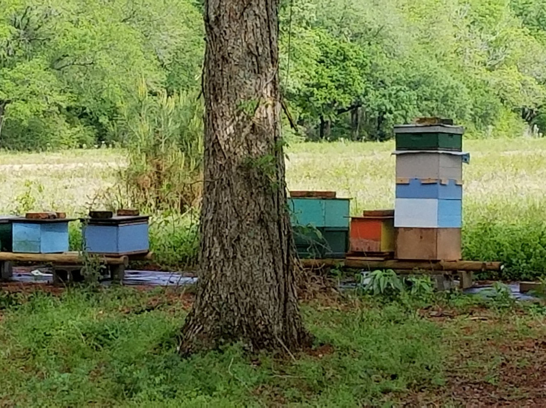 LSU AgCenter Botanic Gardens-巴吞鲁日必去景点