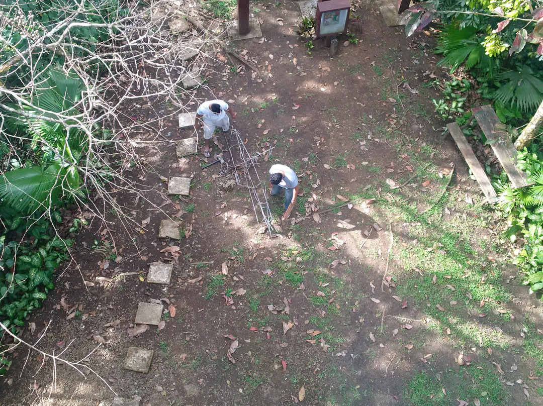 Mt. Bandilaan National Park-锡基霍尔岛必去景点