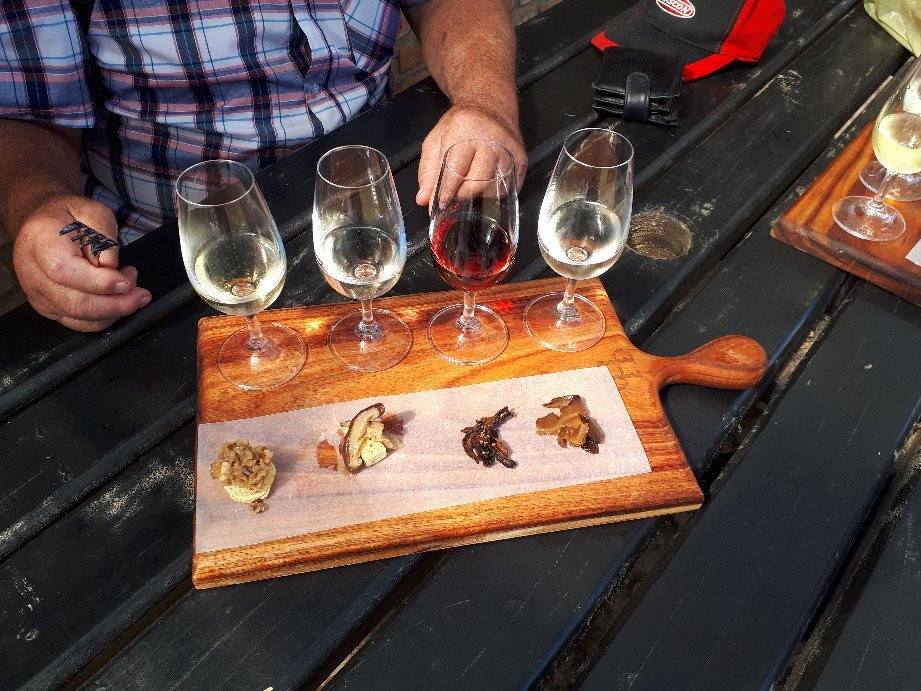 Houtbosch Wines and Craft Beer-Molen Drift必去景点